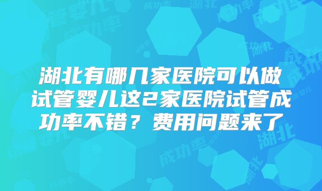湖北有哪几家医院可以做试管婴儿这2家医院试管成功率不错?费用问题来了