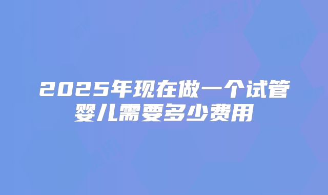 2025年现在做一个试管婴儿需要多少费用