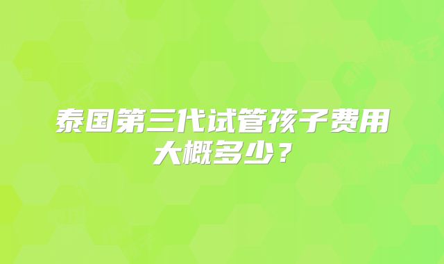 泰国第三代试管孩子费用大概多少?