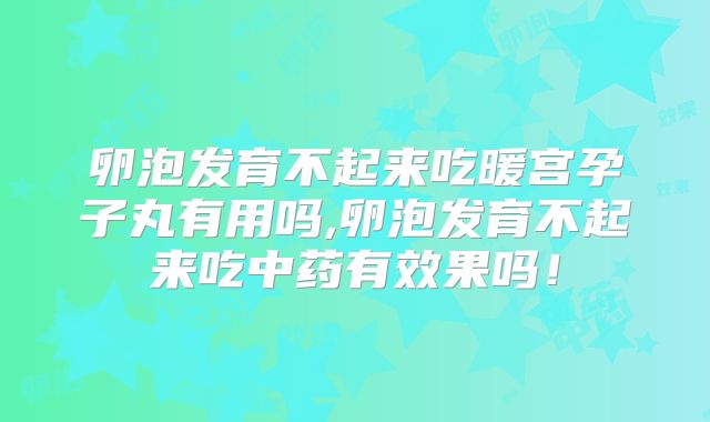 卵泡发育不起来吃暖宫孕子丸有用吗,卵泡发育不起来吃中药有效果吗！