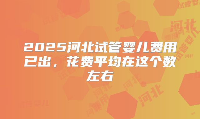 2025河北试管婴儿费用已出,花费平均在这个数左右
