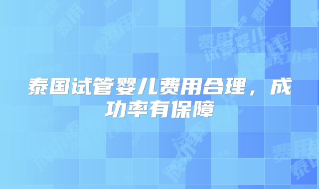泰国试管婴儿费用合理,成功率有保障