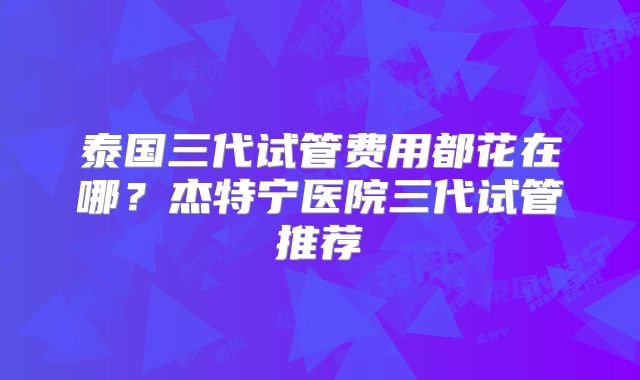 泰国三代试管费用都花在哪?杰特宁医院三代试管推荐