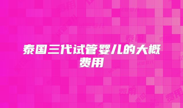 泰国三代试管婴儿的大概费用