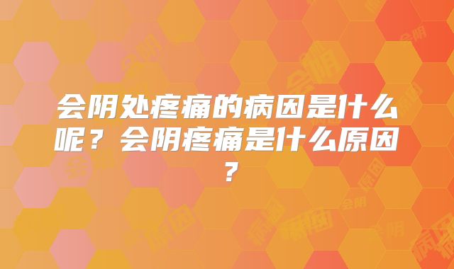 会阴处疼痛的病因是什么呢?会阴疼痛是什么原因?