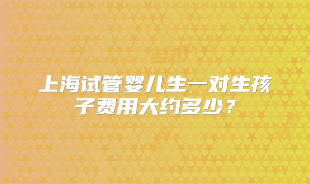 上海试管婴儿生一对生孩子费用大约多少？