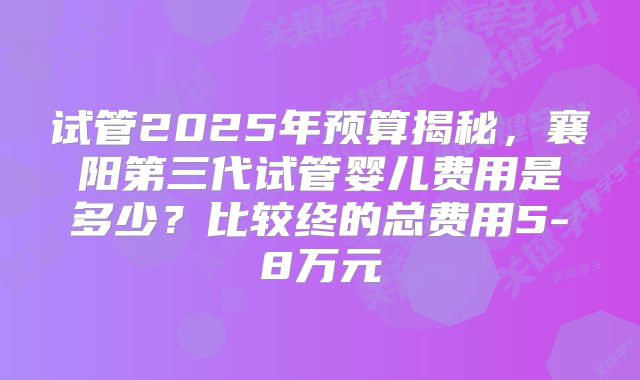 试管2025年预算揭秘，襄阳第三代试管婴儿费用是多少？比较终的总费用5-8万元