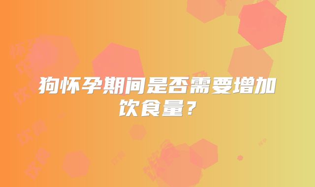 狗怀孕期间是否需要增加饮食量？