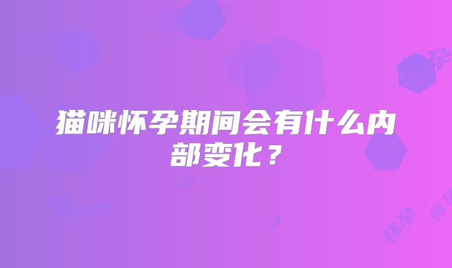 猫咪怀孕期间会有什么内部变化?