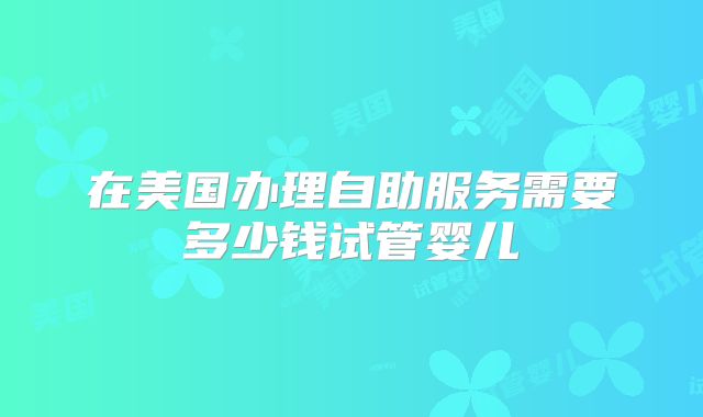 在美国办理自助服务需要多少钱试管婴儿