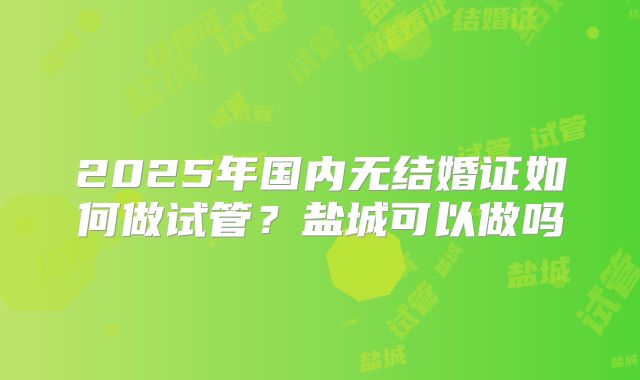 2025年国内无结婚证如何做试管?盐城可以做吗