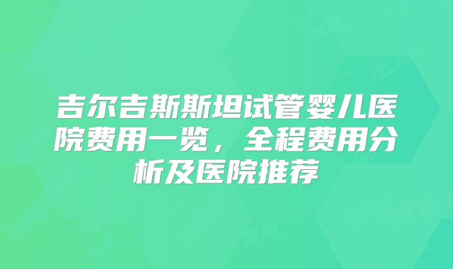 吉尔吉斯斯坦试管婴儿医院费用一览，全程费用分析及医院推荐