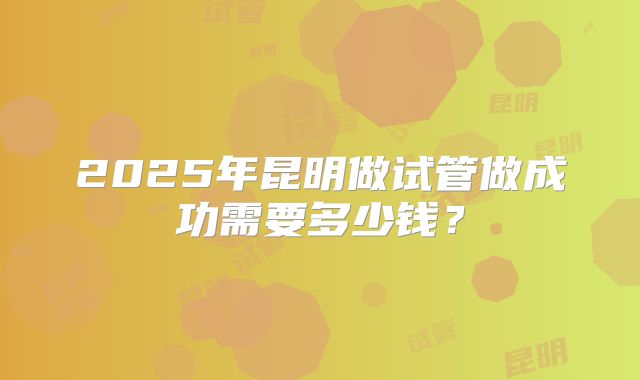 2025年昆明做试管做成功需要多少钱？