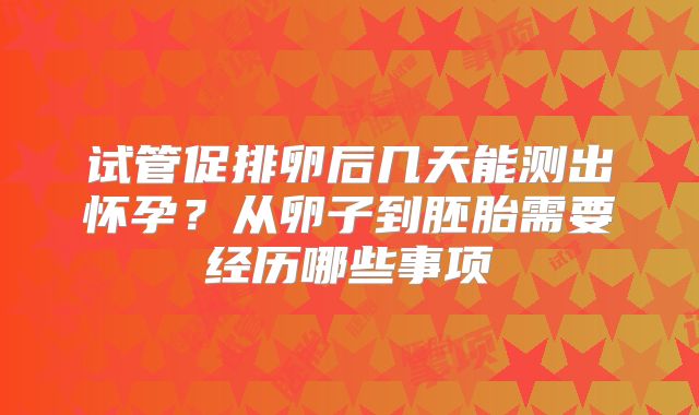 试管促排卵后几天能测出怀孕？从卵子到胚胎需要经历哪些事项