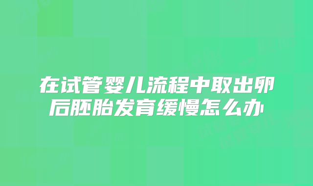在试管婴儿流程中取出卵后胚胎发育缓慢怎么办