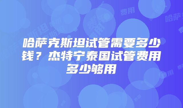 哈萨克斯坦试管需要多少钱?杰特宁泰国试管费用多少够用