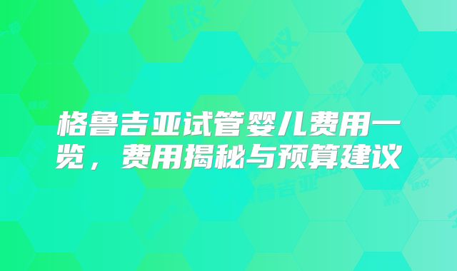 格鲁吉亚试管婴儿费用一览，费用揭秘与预算建议