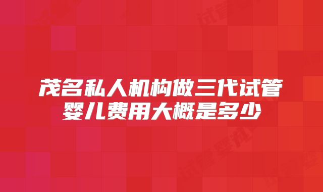 茂名私人机构做三代试管婴儿费用大概是多少