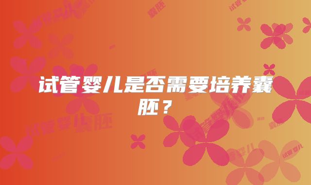 试管婴儿是否需要培养囊胚？