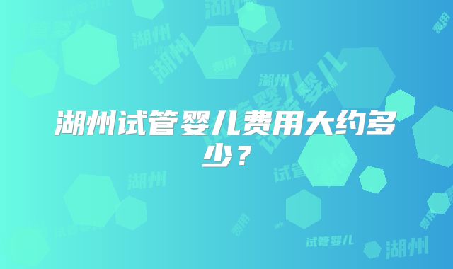 湖州试管婴儿费用大约多少？