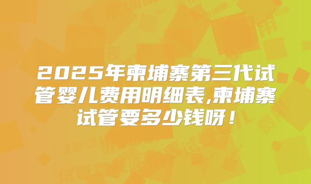 2025年柬埔寨第三代试管婴儿费用明细表,柬埔寨试管要多少钱呀！