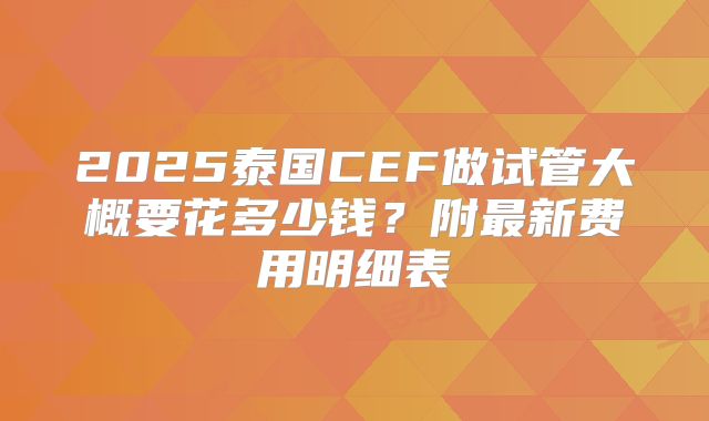 2025泰国CEF做试管大概要花多少钱？附最新费用明细表