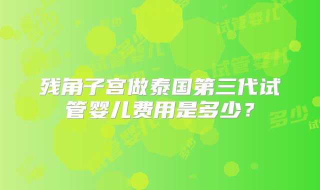 残角子宫做泰国第三代试管婴儿费用是多少？