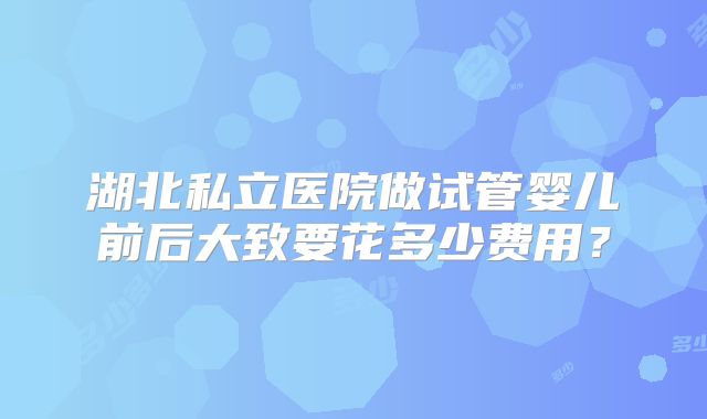 湖北私立医院做试管婴儿前后大致要花多少费用？