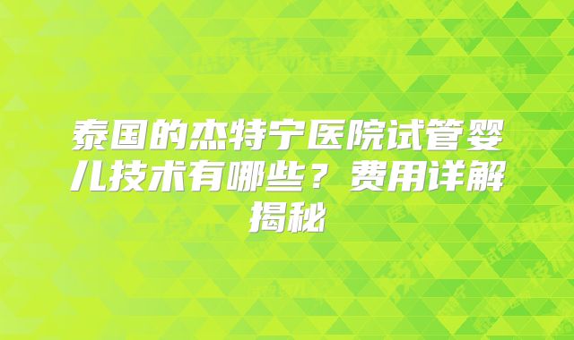 泰国的杰特宁医院试管婴儿技术有哪些？费用详解揭秘