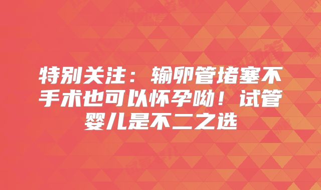 特别关注:输卵管堵塞不手术也可以怀孕呦!试管婴儿是不二之选