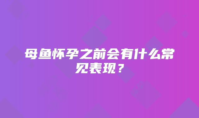母鱼怀孕之前会有什么常见表现？