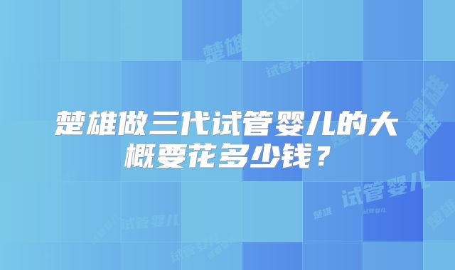 楚雄做三代试管婴儿的大概要花多少钱？