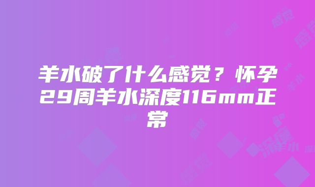 羊水破了什么感觉？怀孕29周羊水深度116mm正常