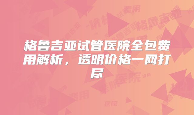 格鲁吉亚试管医院全包费用解析，透明价格一网打尽