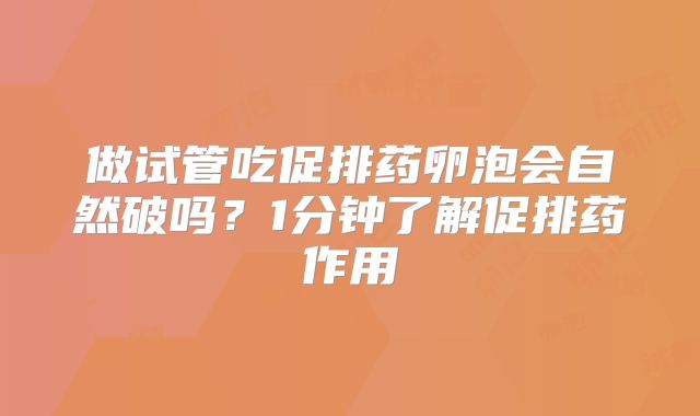 做试管吃促排药卵泡会自然破吗?1分钟了解促排药作用