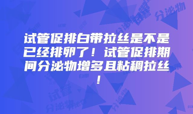 试管促排白带拉丝是不是已经排卵了！试管促排期间分泌物增多且粘稠拉丝！