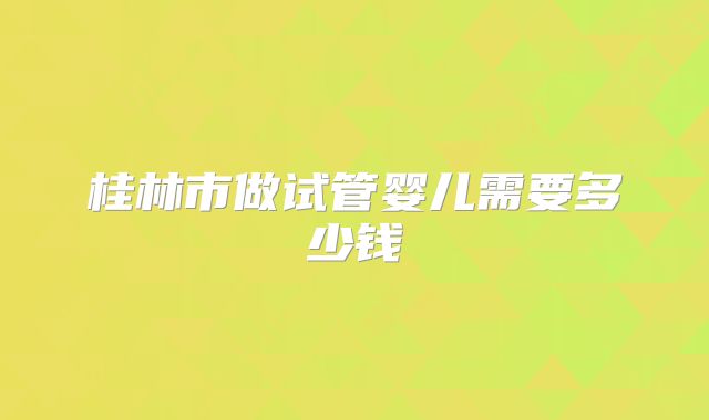 桂林市做试管婴儿需要多少钱