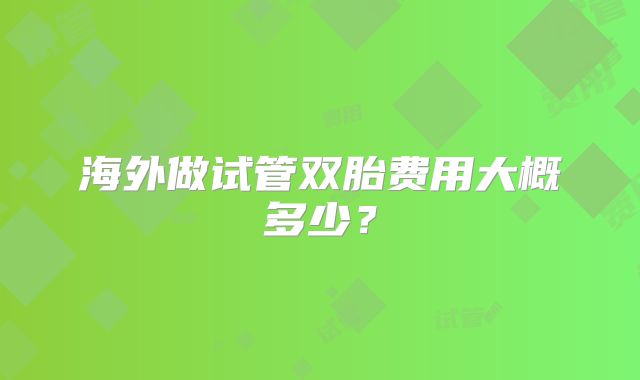海外做试管双胎费用大概多少？