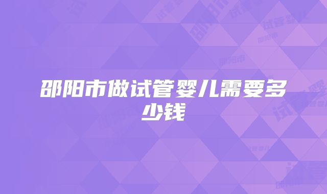 邵阳市做试管婴儿需要多少钱