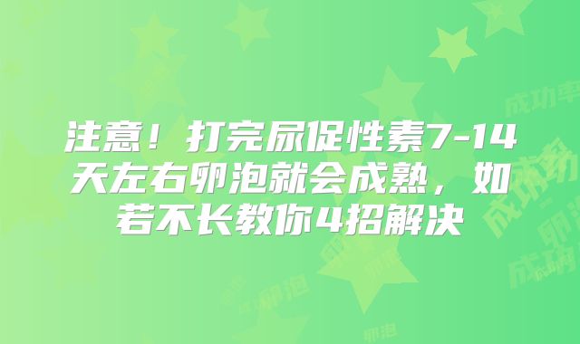 注意！打完尿促性素7-14天左右卵泡就会成熟，如若不长教你4招解决