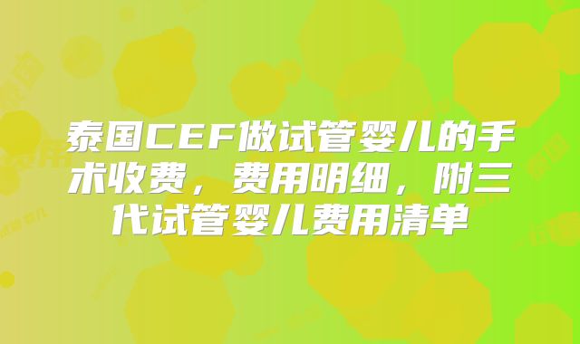 泰国CEF做试管婴儿的手术收费，费用明细，附三代试管婴儿费用清单