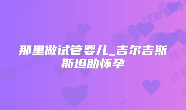 那里做试管婴儿_吉尔吉斯斯坦助怀孕