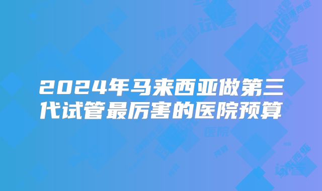 2024年马来西亚做第三代试管最厉害的医院预算