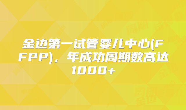 金边第一试管婴儿中心(FFPP)，年成功周期数高达1000+