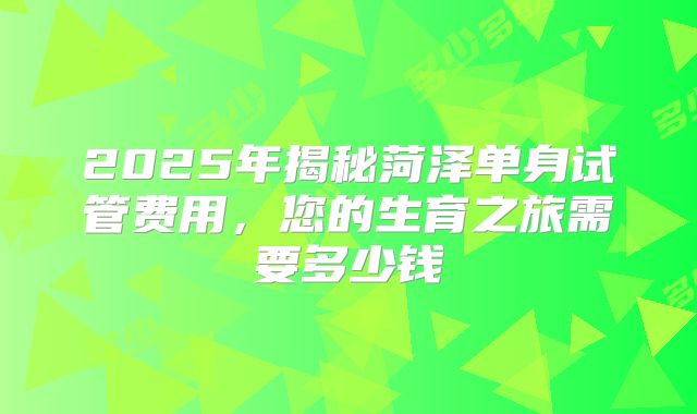 2025年揭秘菏泽单身试管费用，您的生育之旅需要多少钱