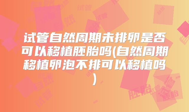 试管自然周期未排卵是否可以移植胚胎吗(自然周期移植卵泡不排可以移植吗)