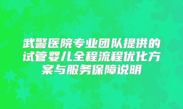武警医院专业团队提供的试管婴儿全程流程优化方案与服务保障说明