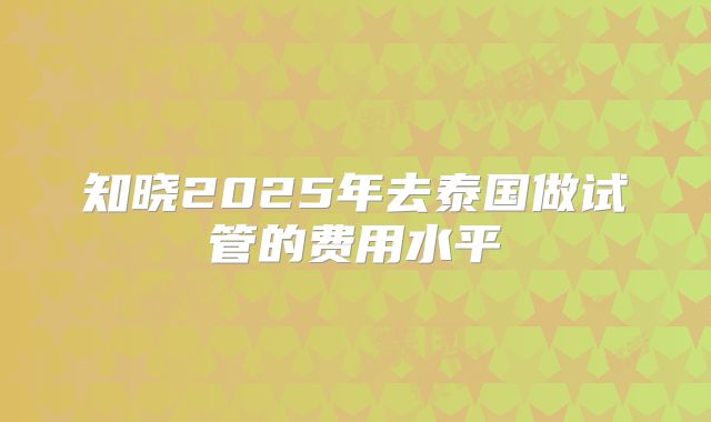 知晓2025年去泰国做试管的费用水平