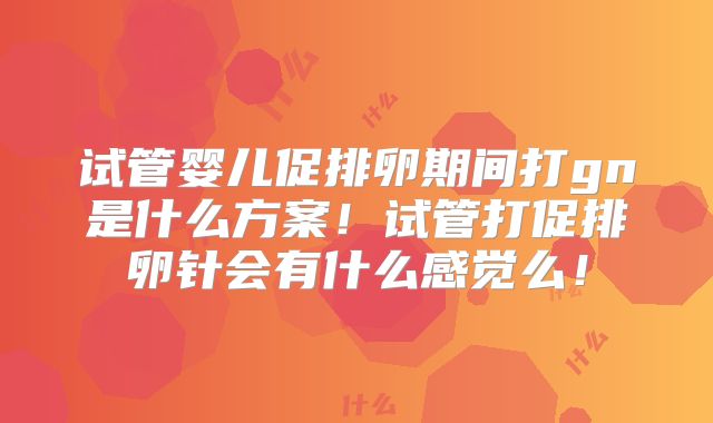 试管婴儿促排卵期间打gn是什么方案！试管打促排卵针会有什么感觉么！