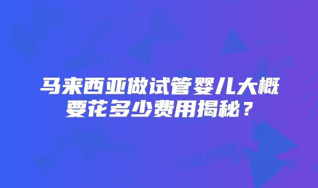 马来西亚做试管婴儿大概要花多少费用揭秘？